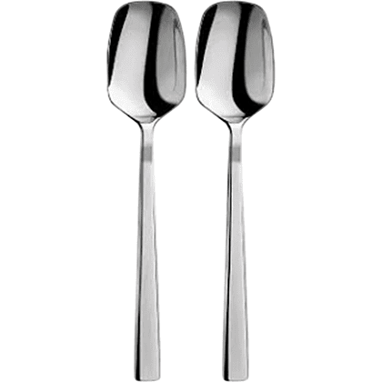 Набор чайных ложек "WL-999301044 Miya", 2 шт, металл, серебристый