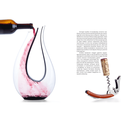 Книга "Маленькая книга гурмана. Вино", Якопо Коссатер, Фабио Петрони - 8