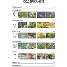 Книга "Красная книга Республики Беларусь. Растения"