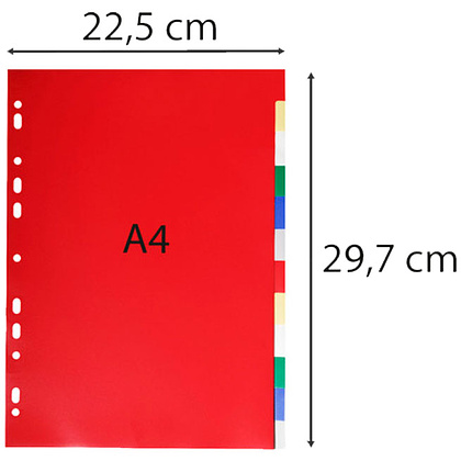 Разделитель "Exacompta economy", A4, 12 делений, ассорти - 3