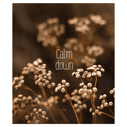 Тетрадь "Calm down", А5, 96 листов, клетка, скоба сбоку, ассорти - 5