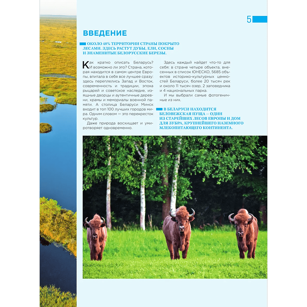 Книга "Завораживающая Беларусь. Путешествие по уголкам страны, которые остаются в сердце", Светлана Гришкевич - 6