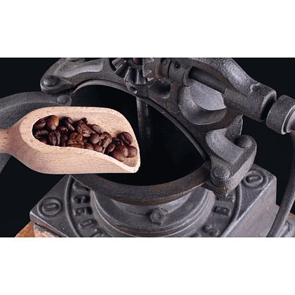 Книга "Философия кофе. От зерна до идеального напитка", Луиджи Оделло, Джованни Руджиери, Фабио Петрони - 5