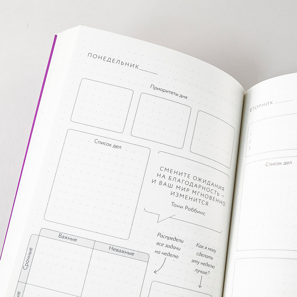 Ежедневник "Visual planner: Цели. Мечты. Достижения", А5, 288 страниц, ежевика - 8