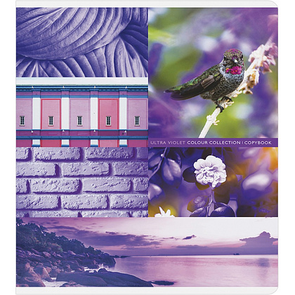 Тетрадь "Стиль. Colourful collage", А5, 48 листов, в клетку, ассорти - 8