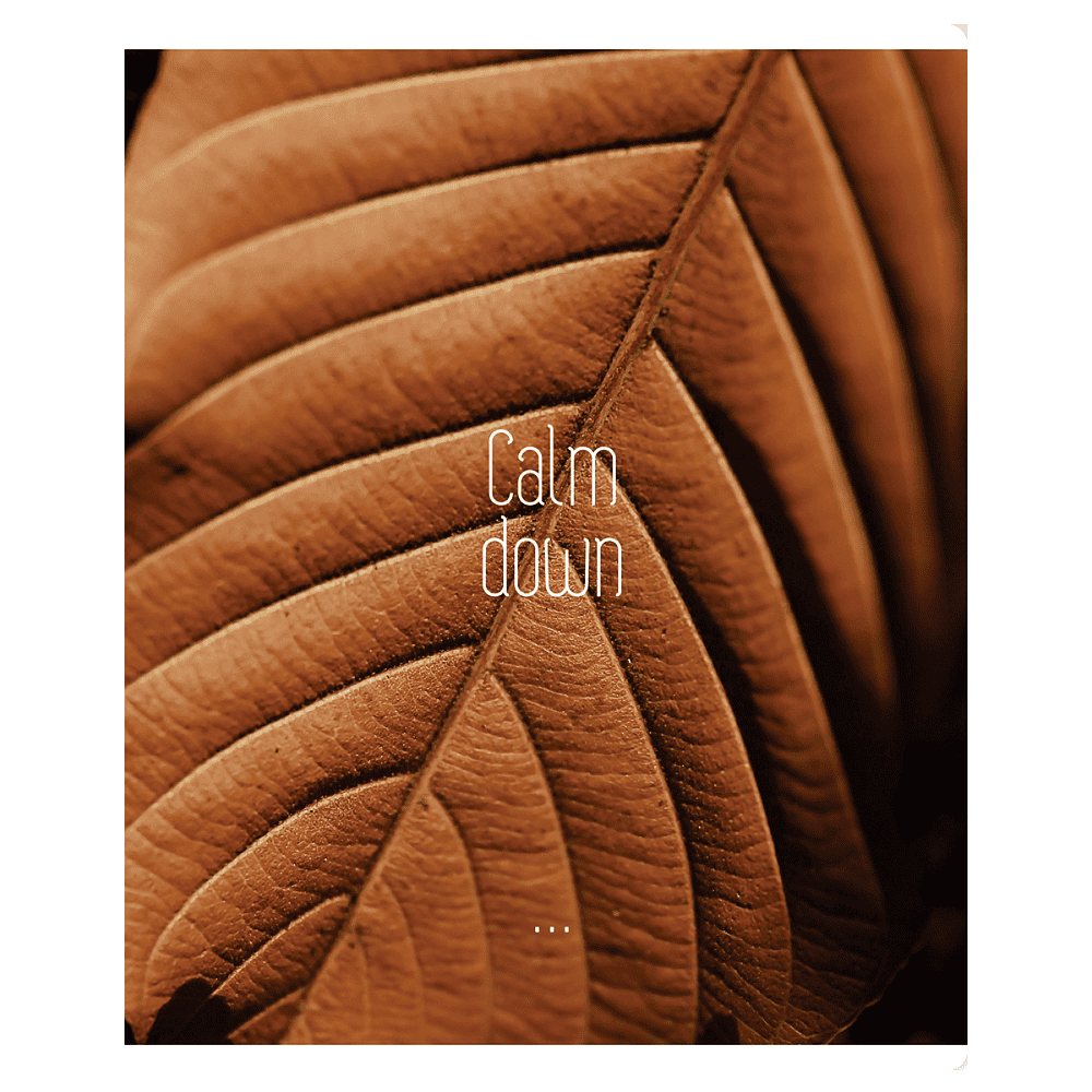 Тетрадь "Calm down", А5, 96 листов, клетка, скоба сбоку, ассорти - 4