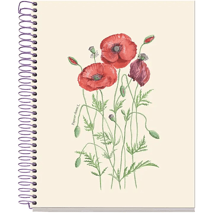Тетрадь "Entredos Papaver Rhoeda", А5, 80 листов, в клетку, бежевый