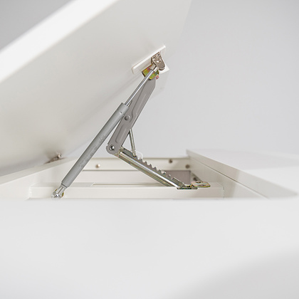 Комплект Ergosmart ученический Caravel: стол регулируемый Caravel, полка с подставкой для книг Wooden space - 5