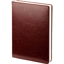 Ежедневник датированный "Berlin", А5, коричневый, 2026