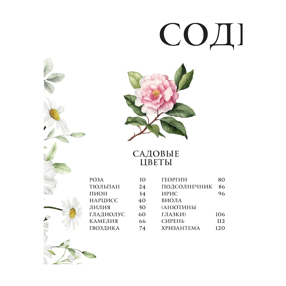 Книга "Цветы в искусстве. Воспевание красоты" - 3