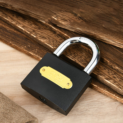 Замок навесной Deli YS EDL508909, 75 мм, автомат, 3 ключа, защита от влаги - 4