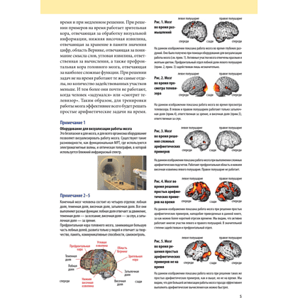 Книга "Память. Упражнения и задания по японской системе развития мозга", Рюта Кавашима - 5