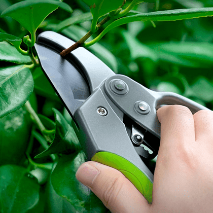 Секатор садовый Deli EDL580229, 200 мм, пластиковая ручка, зеленый - 5