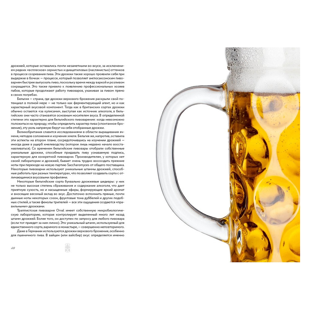 Книга "Маленькая книга гурмана. Пиво", Джованни Руджиери, Пьетро Фонтана - 9