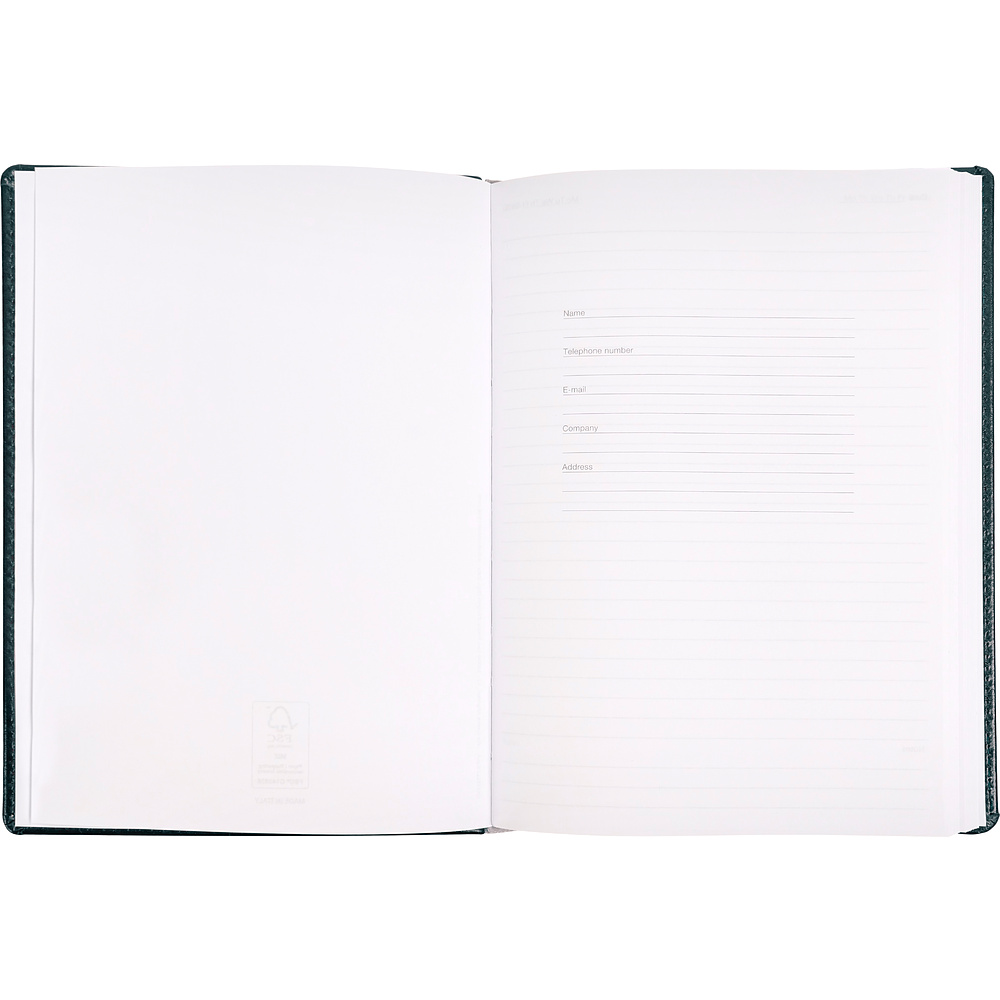 Ежедневник недатированный "Pelle Siena", А5, 272 страницы, зеленый - 8