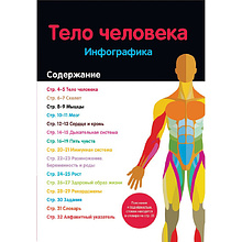 Книга "Тело человека: инфографика", Харриет Брандл, -50%