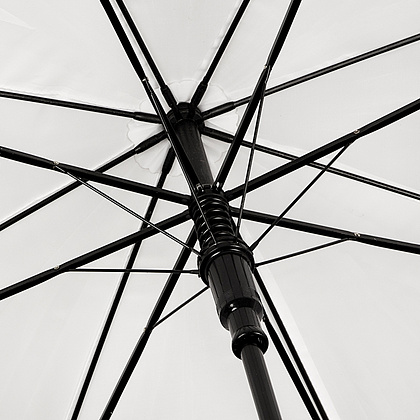 Зонт-трость "GP-31", 102 см, черный - 4