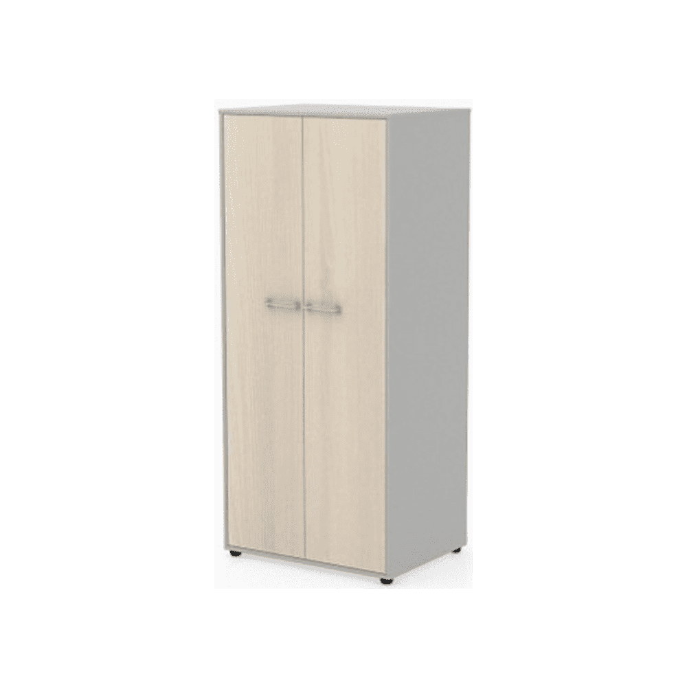 Коллекция Титан Гардероб ТН752/2+ТНД52+ТНТ80Г/2, 800х600х1825 