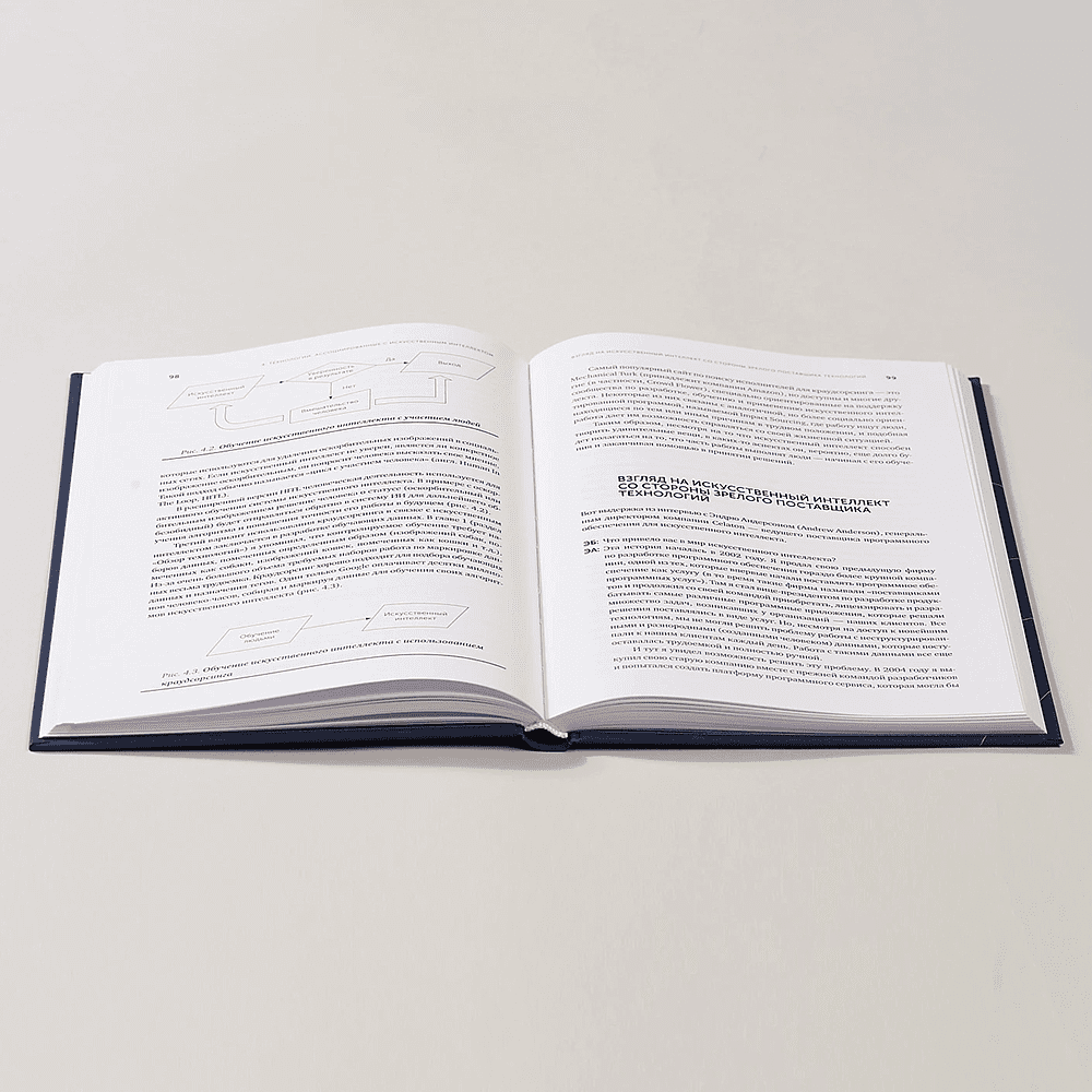 Книга "Искусственный интеллект — для вашего бизнеса. Руководство по оценке и применению", Эндрю Берджесс - 5