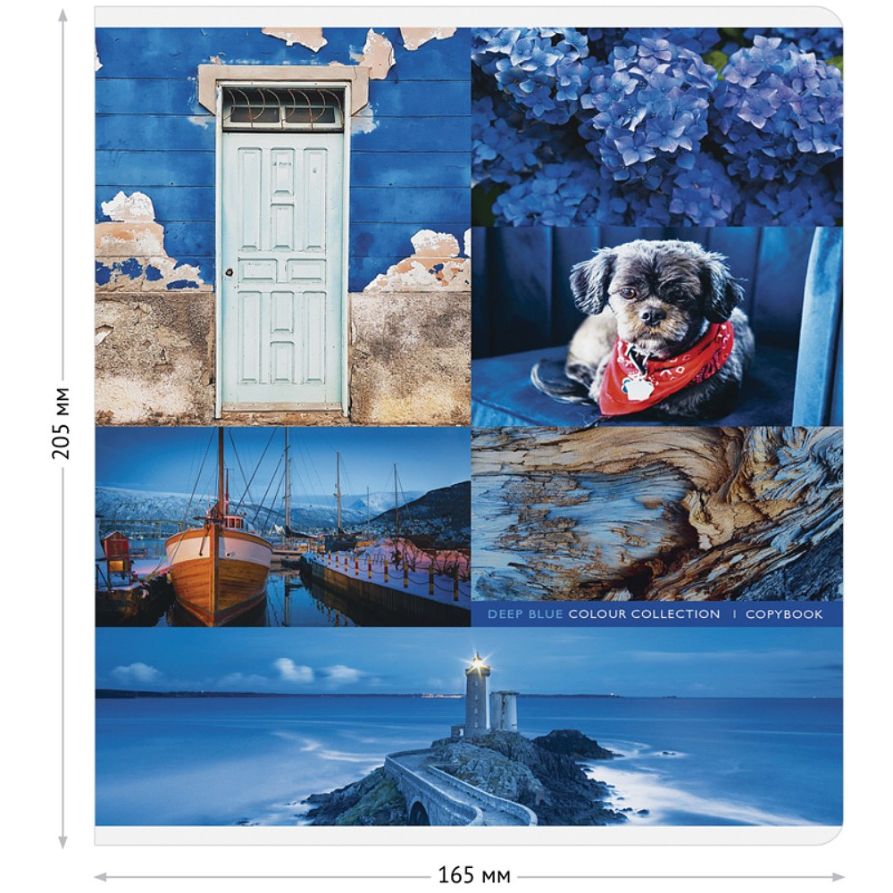 Тетрадь "Стиль. Colourful collage", А5, 48 листов, в клетку, ассорти - 3