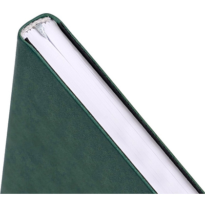 Ежедневник недатированный "Tucson Flex", А5, 272 страницы, зеленый - 4