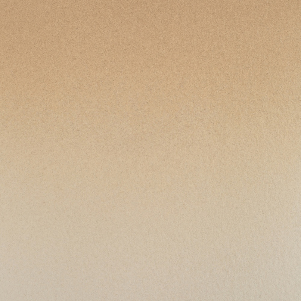 Краски акварельные "Белые ночи", 255 дюны, 10мл., туба - 3