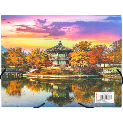 Папка на резинках "Orient", 15-34 мм., пластик - 2