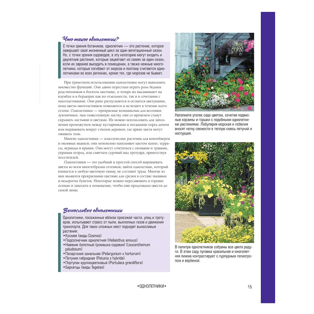 Книга "Библия садовых цветов. Однолетники, многолетники и луковичные. Советы по посадке, выращиванию и уходу" - 10