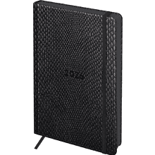 Ежедневник датированный "Python. Graphite"