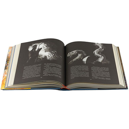 Книга "Гарри Поттер и Кубок Огня" с цветными иллюстрациями, Роулинг Дж.К. - 4