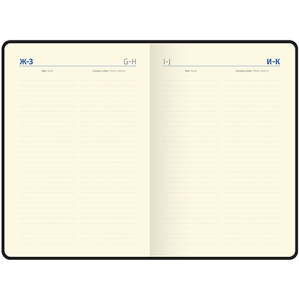 Ежедневник недатированный "xGold", А5, 320 страниц, черный - 8