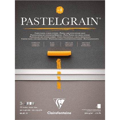 Блок бумаги для пастели "PastelGrain" 4 оттенка, 30х40см, 360 г, 12 листов, №1