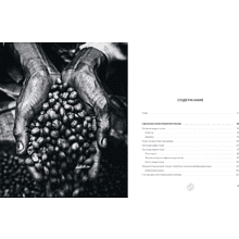 Книга "Философия кофе. От зерна до идеального напитка", Луиджи Оделло, Джованни Руджиери, Фабио Петрони