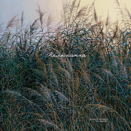 Сумка для покупок "Волнение", Валерий Шкарубо, разноцветный - 2