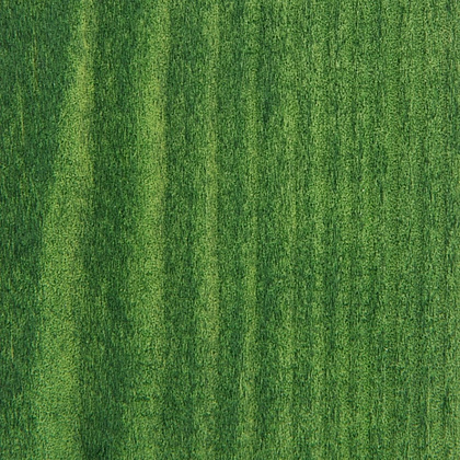 Морилка "Декола", 725 зеленая, 120 мл., банка - 3