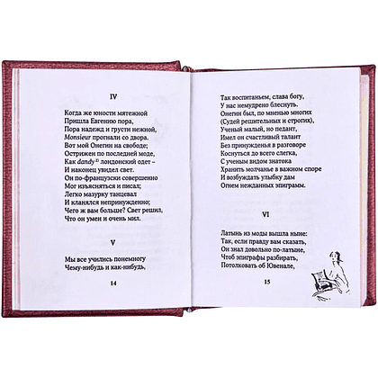 Книга-мини "Евгений Онегин", Александр Пушкин, 44х59 мм, ассорти - 8