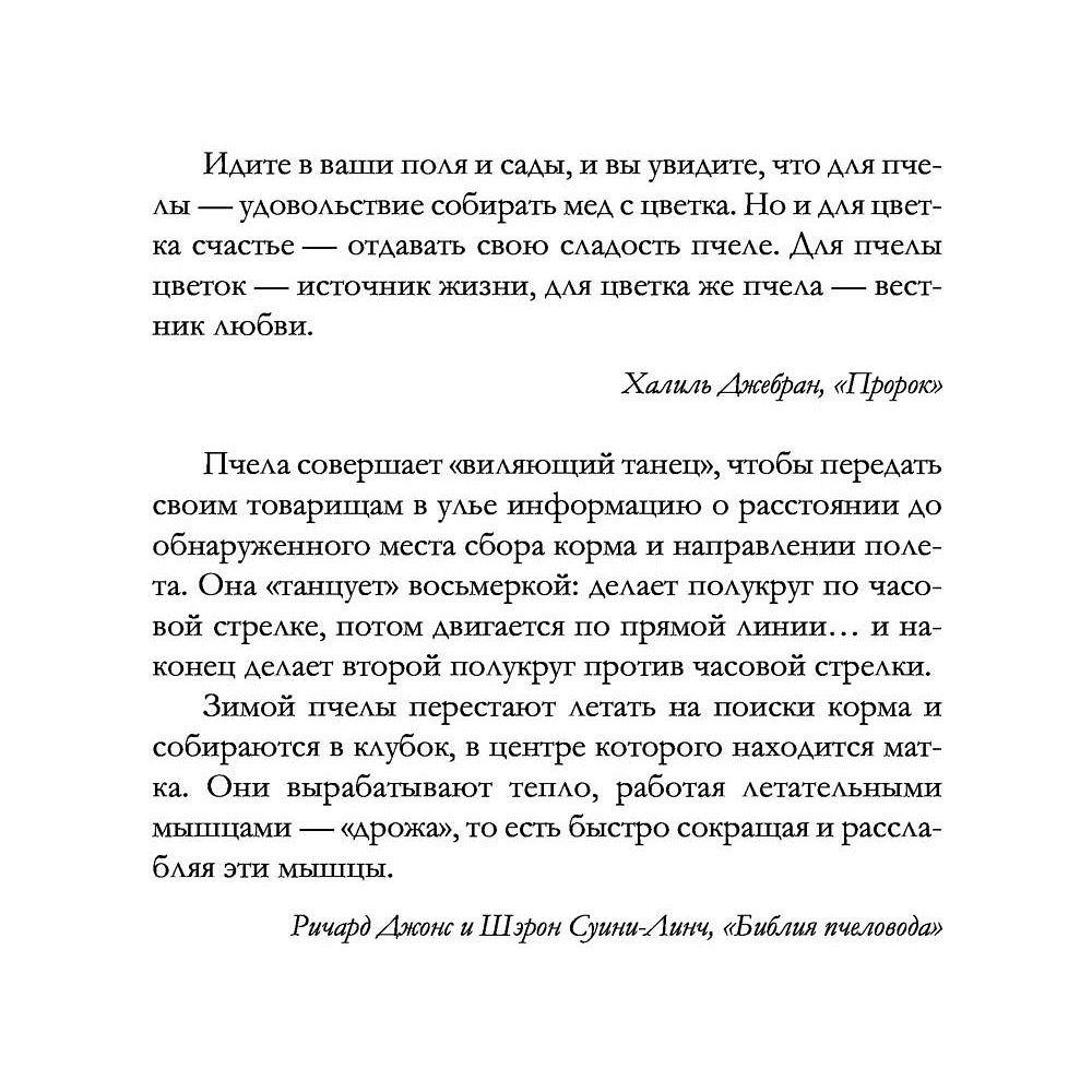 Книга "Девушка в красном платке", Фиона Валпи - 3
