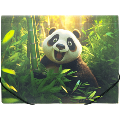 Папка на резинках "Panda", 15-34 мм., пластик