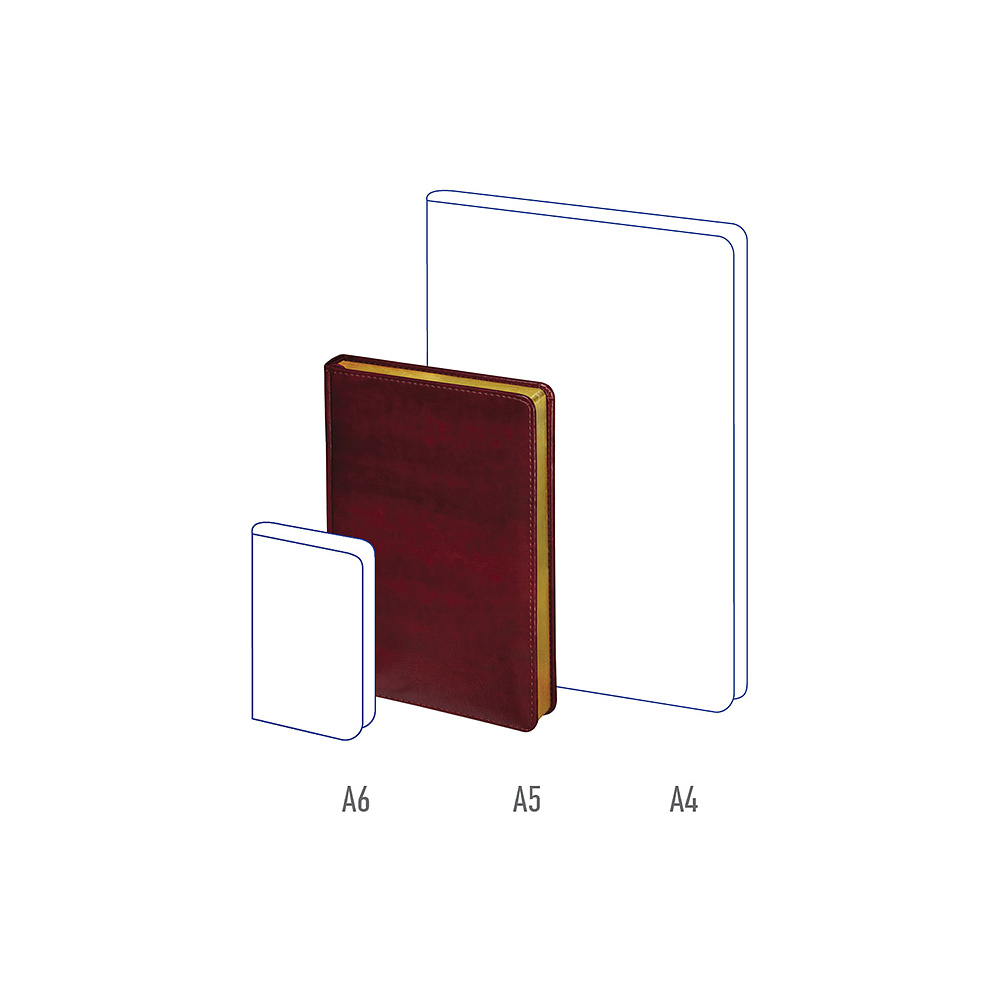 Ежедневник недатированный "xGold", А5, 320 страниц, бордовый - 4