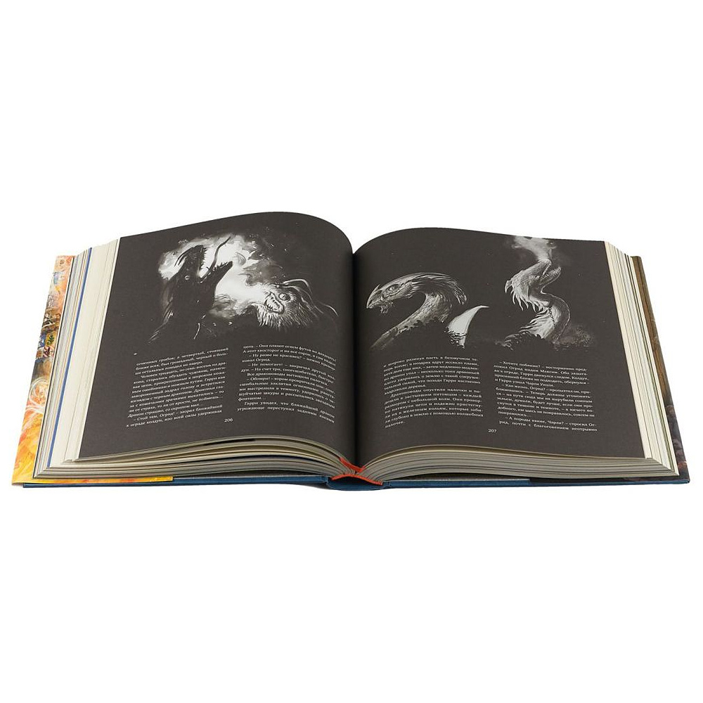 Книга "Гарри Поттер и Кубок Огня" с цветными иллюстрациями, Роулинг Дж.К. - 4