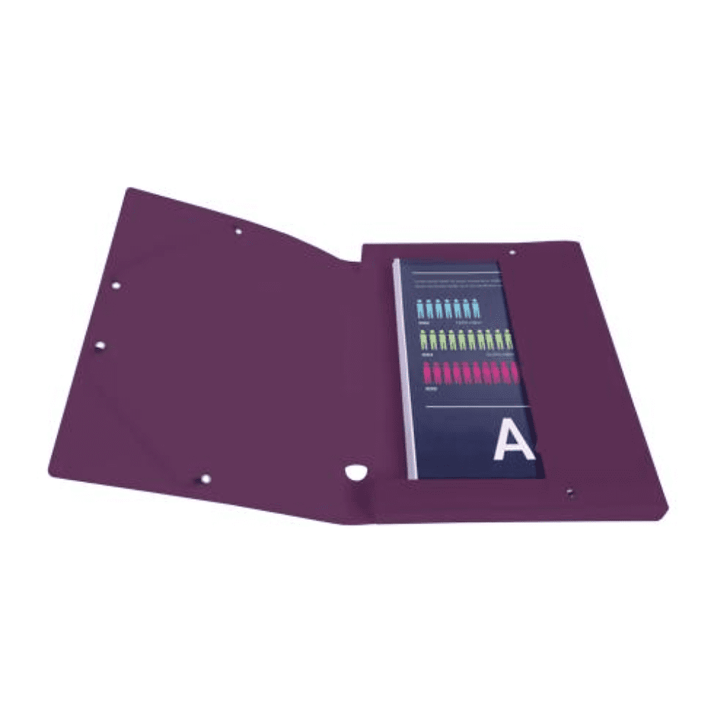 Папка-короб "Titane", 40 мм, на кнопке, ассорти - 6