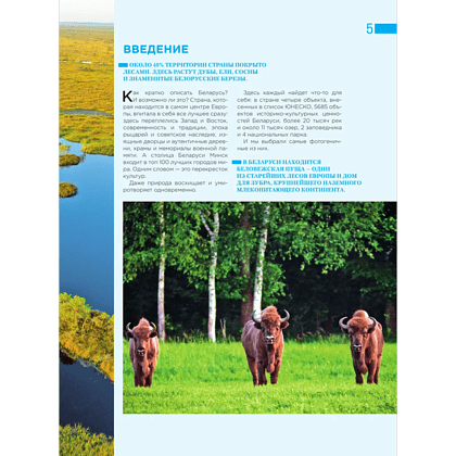 Книга "Завораживающая Беларусь. Путешествие по уголкам страны, которые остаются в сердце", Светлана Гришкевич - 6