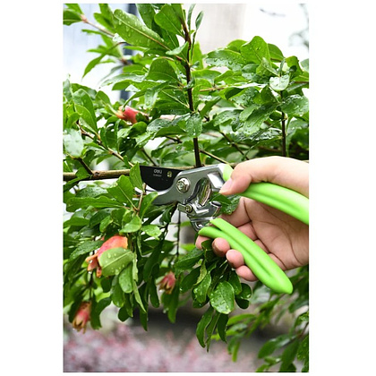 Секатор садовый цельнокованный Deli GS EDL580207, пружина, тефлон, 215 мм., черный, зеленый - 10