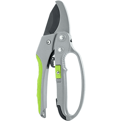 Секатор садовый Deli EDL580229, 200 мм, пластиковая ручка, зеленый