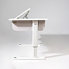 Комплект Ergosmart ученический Caravel S: стол регулируемый Caravel S, полка с подставкой для книг Wooden space S - 15