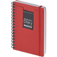 Ежедневник недатированный на гребне 