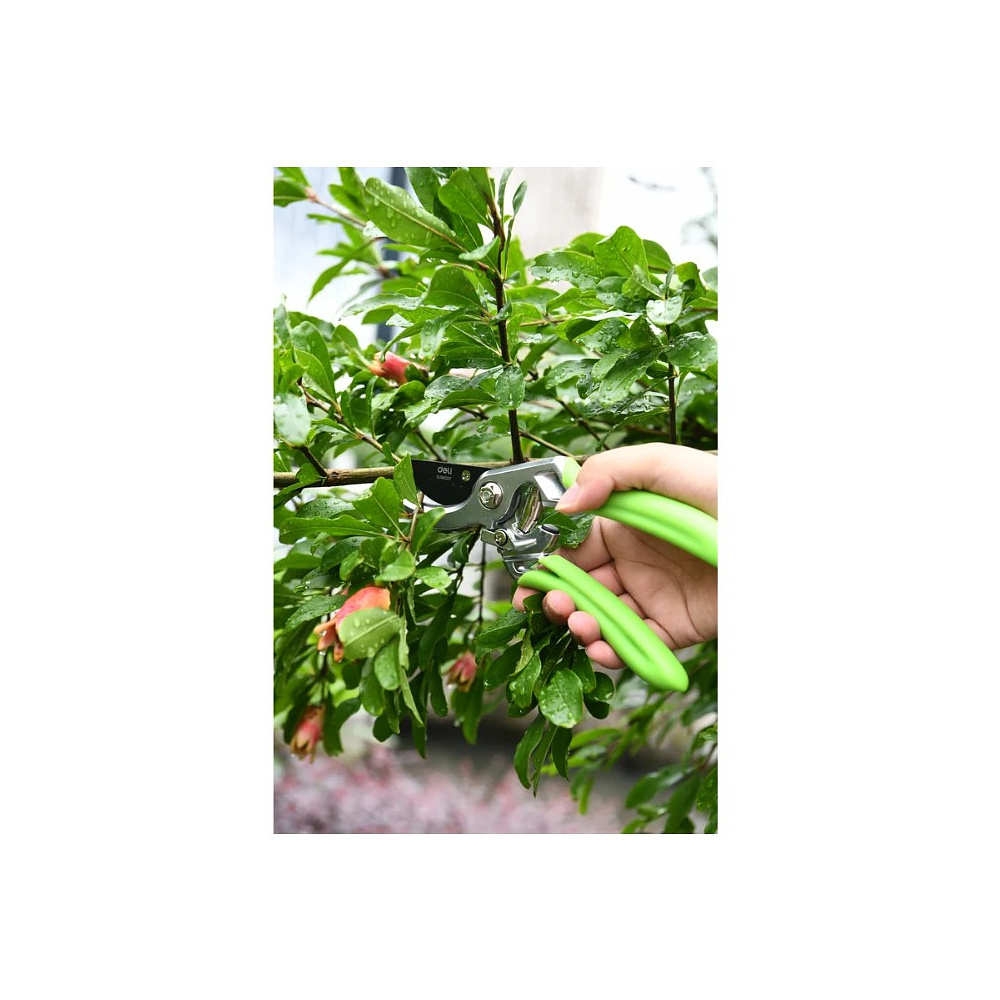 Секатор садовый цельнокованный Deli GS EDL580207, пружина, тефлон, 215 мм., черный, зеленый - 10