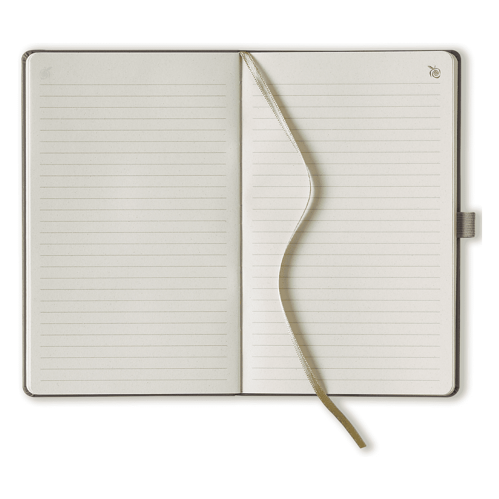 Блокнот "Appeel classic golden", А5, 96 листов, линейка, золотой - 3