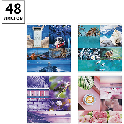 Тетрадь "Стиль. Colourful collage", А5, 48 листов, в клетку, ассорти - 2