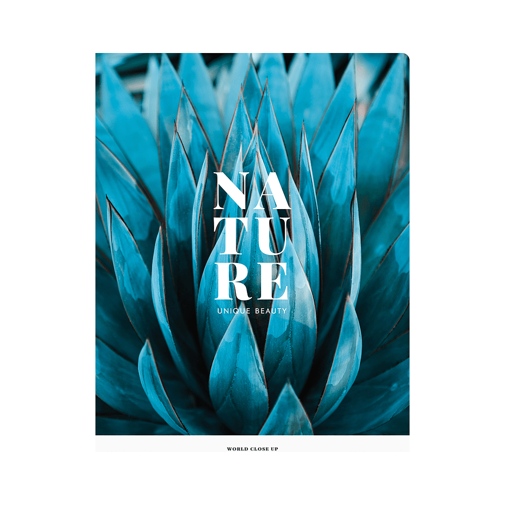 Тетрадь "Nature", А4, 48 листов, клетка, ассорти - 2